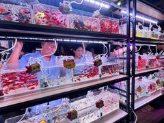 -中环花鸟鱼虫市场