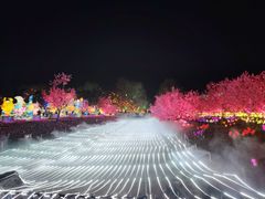 -国际非物质文化遗产博览园