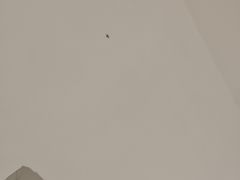 -海友酒店(上海静安寺店)