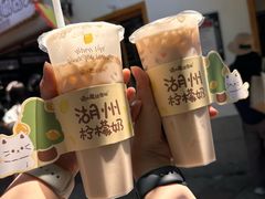 -猫的魔法密林(衣裳街店)
