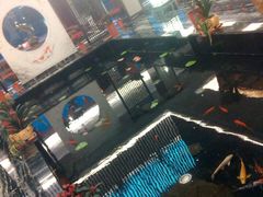 android_upload_pic-天目湖御水温泉·度假酒店