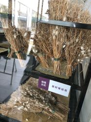 -太湖雪蚕桑文化园