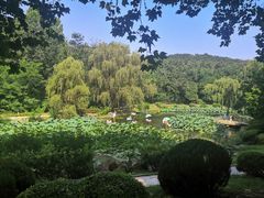 -棒棰岛宾馆景区