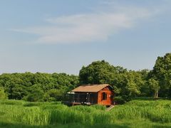 -良渚古城遗址公园