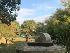 -东湖落雁景区