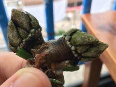 -阿军排档·烧烤
