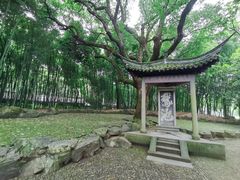 -兰亭风景区