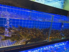 -透明思烤·自助烤肉海鲜火锅(东部星悦天地店)