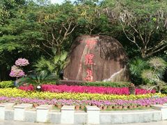 -野狸岛
