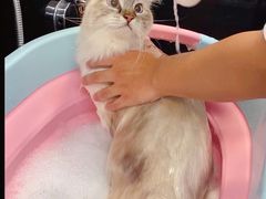 -袖虎宠物(锦绣生态园店)