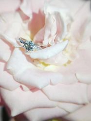-钻石小鸟钻戒婚戒定制(石路店)