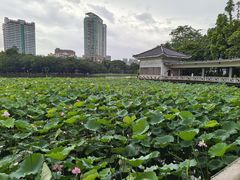 -荔湾湖公园