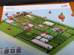 -前小桔亲子创意农场·草莓采摘·露营烧烤