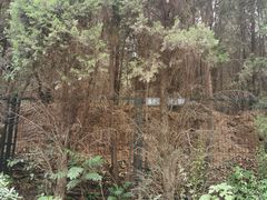 -秦始皇帝陵博物院-丽山园