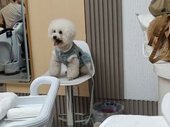 -心仪动物医院·牙专科·肿瘤·心脏科(西客站院)