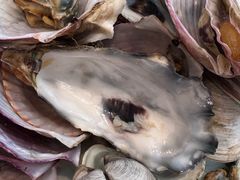 -山东八大碗山东老字号