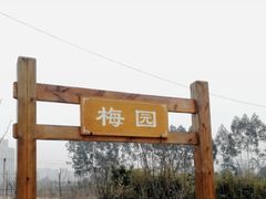 -秀丽东方