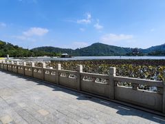 -顺峰山公园
