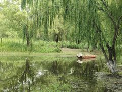 -长广溪湿地公园