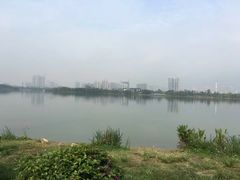 -飞来湖湿地公园