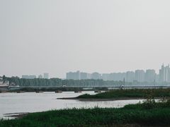 -洛阳市隋唐城遗址植物园