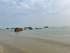 -八婆婆烧仙草(曾厝垵店)