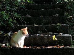 -终南山南五台景区