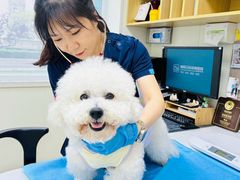 -美联众合动物医院·24h京西诊疗中心
