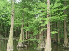 -尚湖风景区