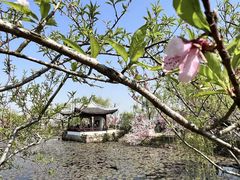 -无锡蠡湖国家湿地公园-蠡园