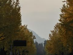 -青城山