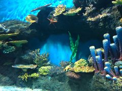 -华夏文旅海洋公园