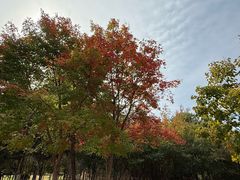 -长春世界雕塑园冰雪艺术天地