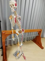 -元泉瑜伽培训学院