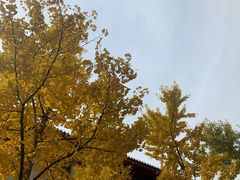 -中国中医科学院西苑医院(本部)
