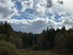 -塞罕坝国家级自然保护区