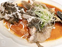 -喜来登由由大酒店九州膳坊中餐厅