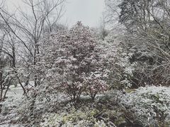 -黔灵山公园