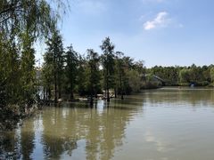 -上海长兴岛郊野公园