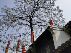 -仓桥直街