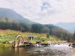 -广州市石门国家森林公园