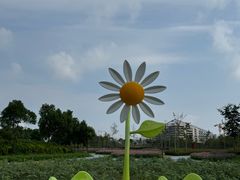 -春花秋色城市公园