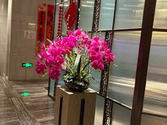 -东岭皇冠假日酒店-彩丰楼中餐厅