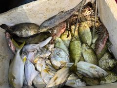 -牛排王糟粕醋火锅(海甸分店)