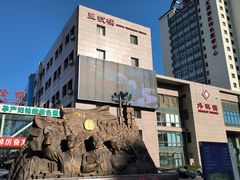 -中国人民解放军第九医学中心(306医院)
