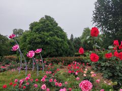 -沙澧河风景区