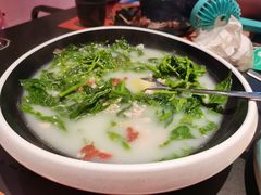 鸽汤桑叶-羽鸽集·乳鸽专门店·地道顺德菜(岭南站店)