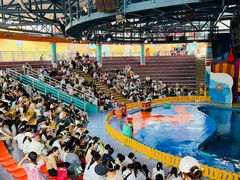 -海合安武汉极地海洋公园