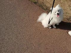 -艾溪湖湿地公园