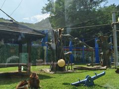 -大连森林动物园